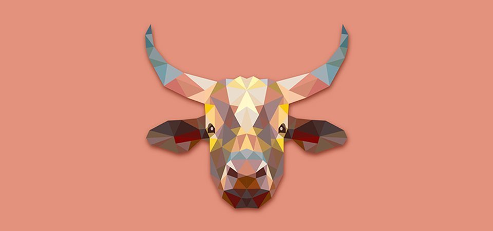 portfolio images